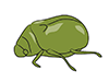 Scarab beetle-animals | animals | free illustrations