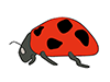 Ladybugs-Animal | Animal | Free Illustration Material