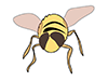 Bees | Bees-Animal | Animals | Free Illustrations