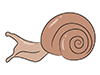 Snail / Cochlear-Animal | Animal | Free Illustration Material