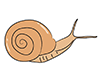 Snail / Cochlear-Animal | Animal | Free Illustration Material