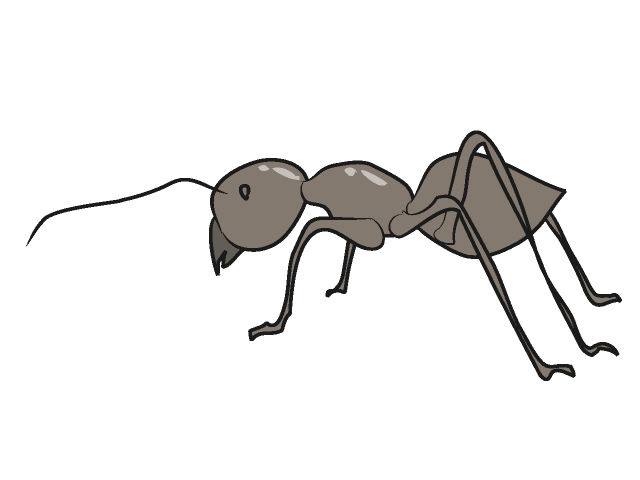 アリ/蟻 - 動物 / クリップアート / 無料 / アニマル / イラスト / アイコン / かわいい / 絵