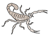 Scorpions / Scorpions-Animal | Animals | Free Illustrations