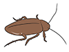 Cockroach / Aphid-Animal | Animal | Free Illustration Material