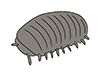 Roly-poly-Animal | Animal | Free illustration material