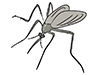 Mosquitoes / Animals | Animals | Free Illustrations