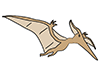 Pteranodon ｜ Dinosaurs-Animal ｜ Animals ｜ Free Illustrations