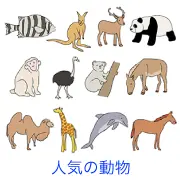 魚、カンガルー、鹿、パンダ、猿、ダチョウ、コアラ、馬、ラクダ、キリン、イルカなど、多様な動物のイラスト12点が並ぶ。陸上の哺乳類を中心に、鳥類や海洋生物も含んだ、シンプルで親しみやすいタッチの図版セット。